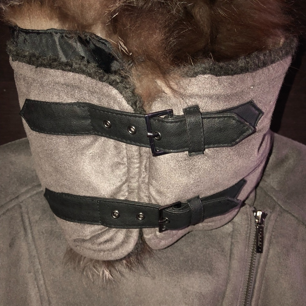Winter Jacket - Picture 5 of 6